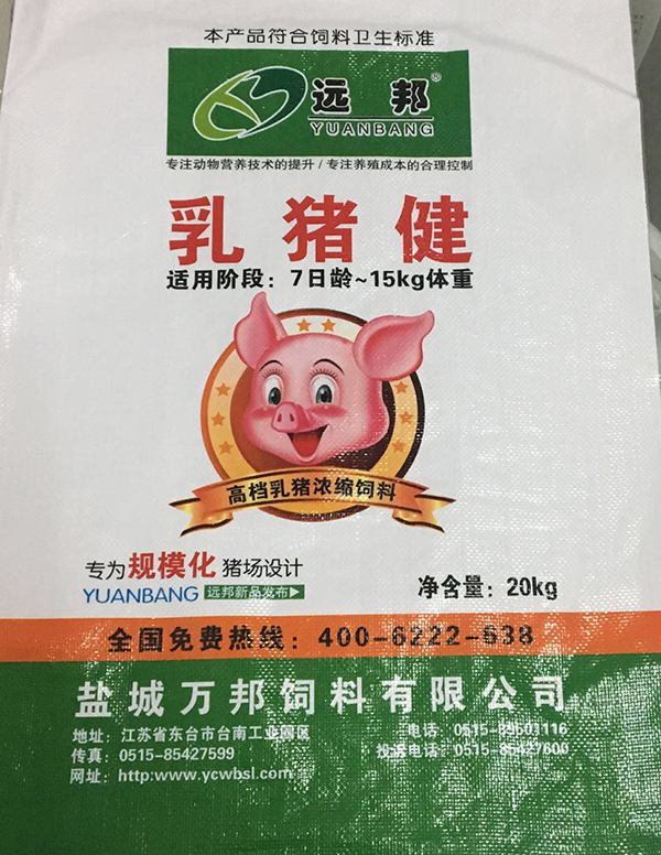 乳豬健